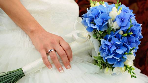 Blue Colored Flowers