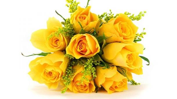 Yellow color Flowers