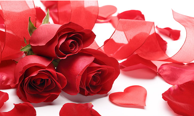Types of Flower Choices for Valentine and Their Meaning
