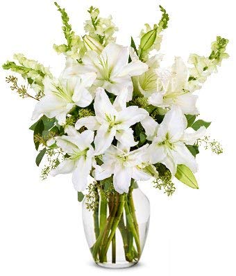 Lilies
