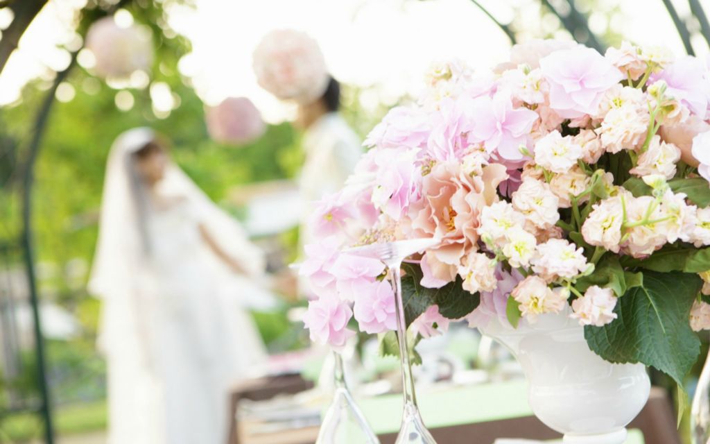 Flowers with Their Symbolic Meanings to know Language of Love!!