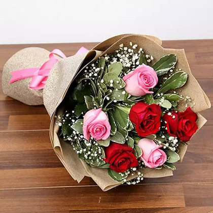 red and pink Rose flowers
