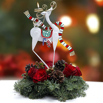 Christmas Flowers
