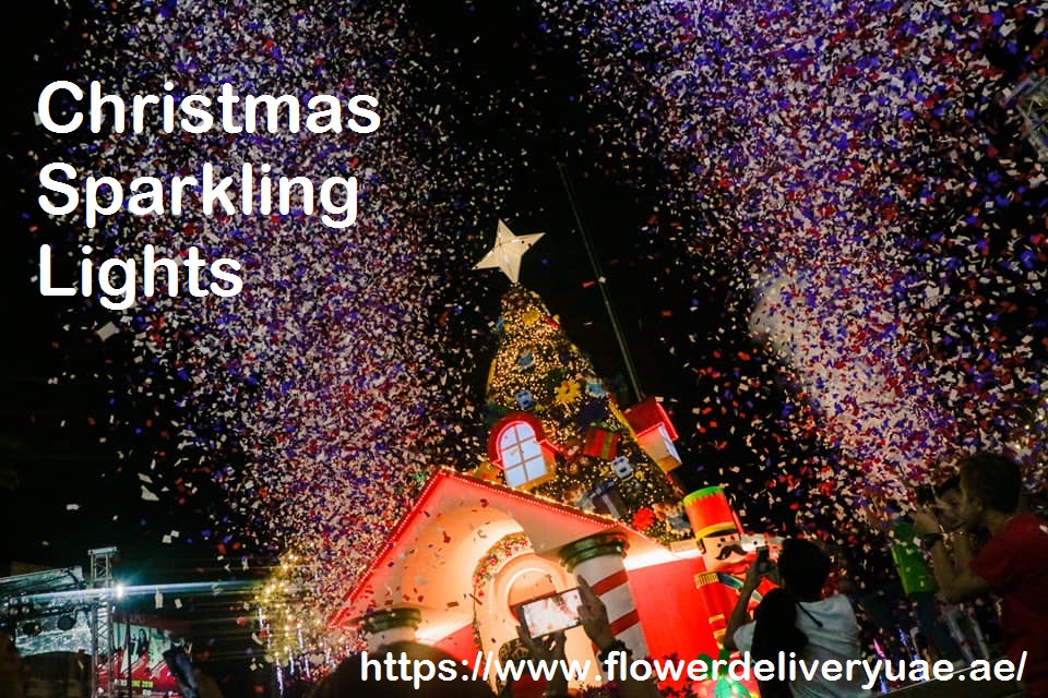 sparkling lights for Christmas