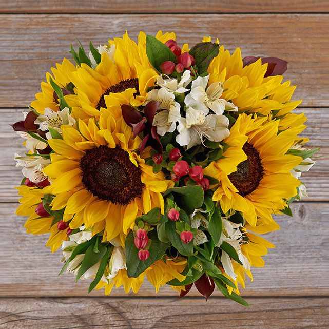 Christmas Sunflowers