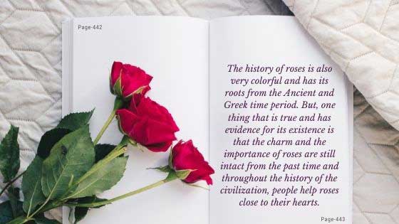 History of Roses