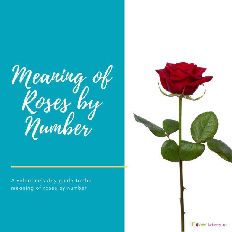 The Meaning of Each Number of Roses