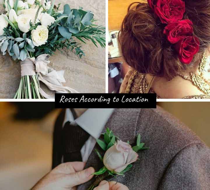 Roses According to Location