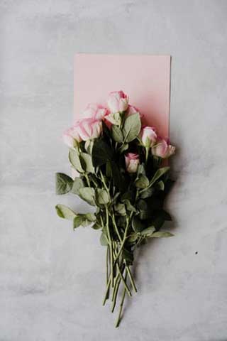 Wedding Anniversary Rrose Flower