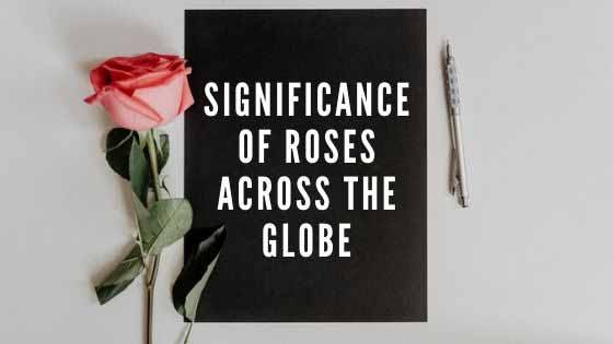 Significance of Roses across the Globe