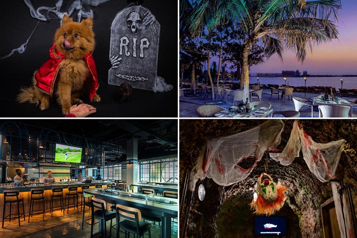 Spooky Wooky Halloween Party Ideas to Astonish Everyone Around in UAE!!