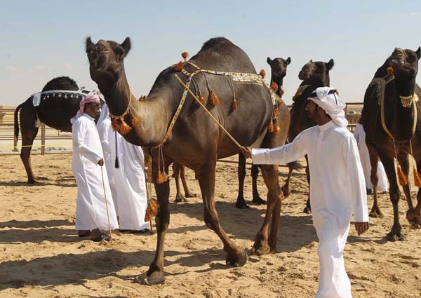 al dhafra