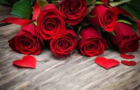 red roses