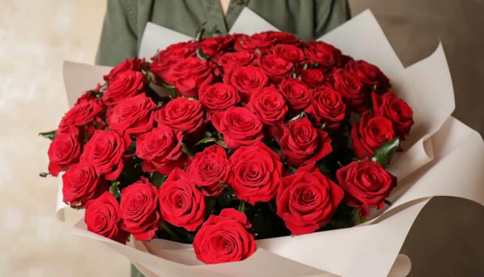 Everything You Need to Know About Red Roses!!
