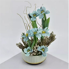 Flutters of Tulip Beauty :  Send Tulip Flowers