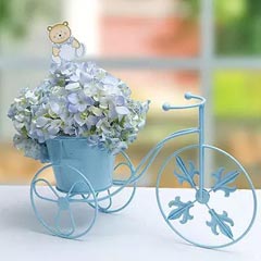 Sophisticated Blue - Fathers Day Flowers