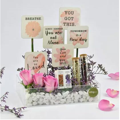 Calm And Wellness Wishes