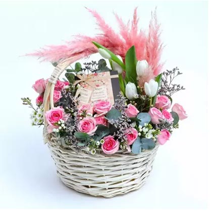 Gesture of Love and Sweetness With Mirzam