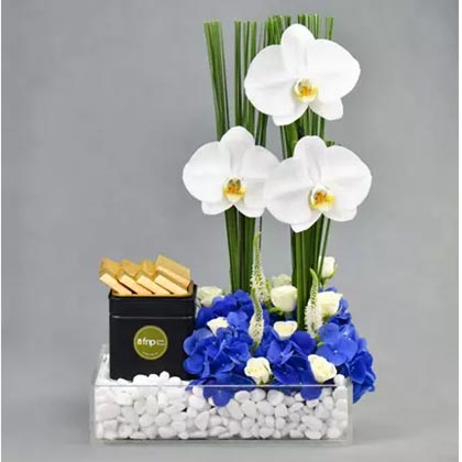 Floral Paradise with Chocolates