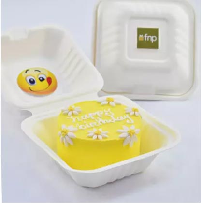 Birthday Wish Lunchbox Chocolate Cake