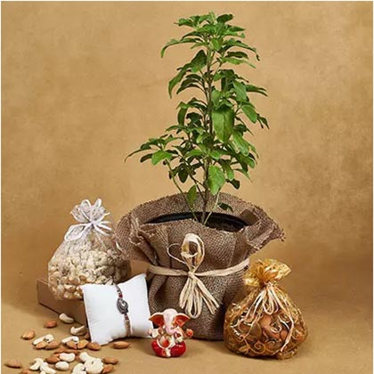 Rakhi Blessings For Brother