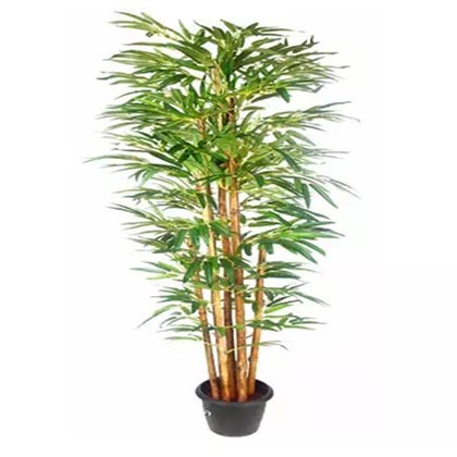 Buddha Bamboo Plant Pot