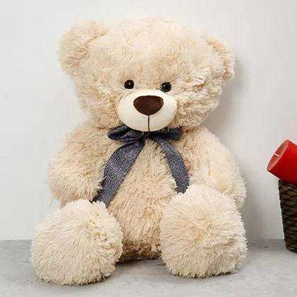 teddy colour
