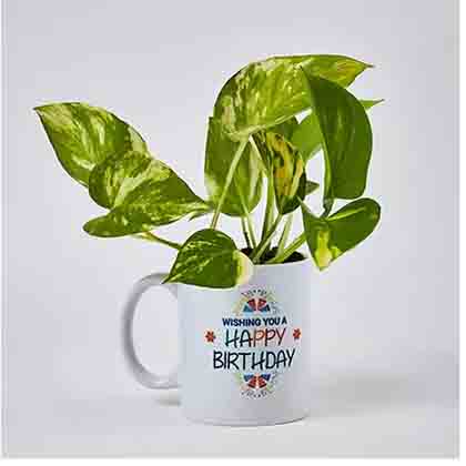 Money Plant In Happy Birthday Mug