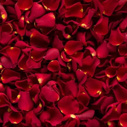Half Kg Rose Petals