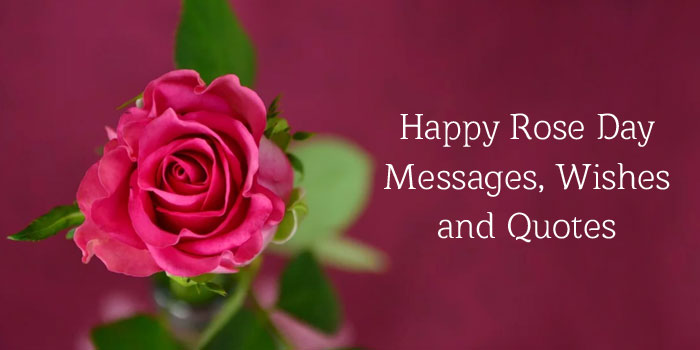 Rose Day Messages and Quotes